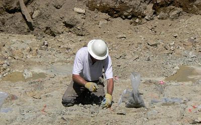 Sampling in the stripped Bonanza Trench