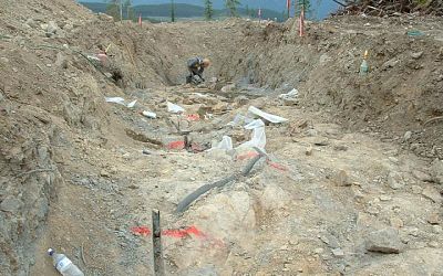 July 2006