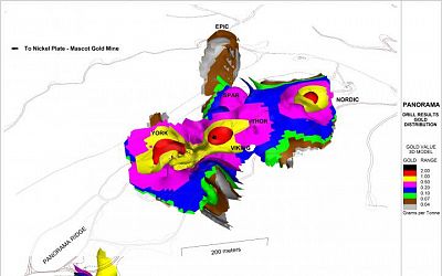 3d Gold Grade Distribution Looking North East
