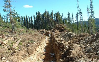 Tower trench