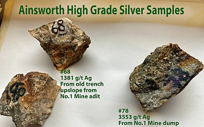 High grade silver samples from 2021