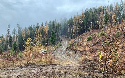 New drill trail accessing the North Cliff Zone